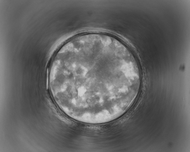 X0000114561223200911301240