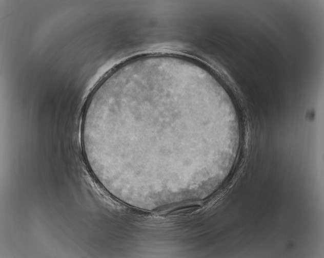 X0000114561224200911301240
