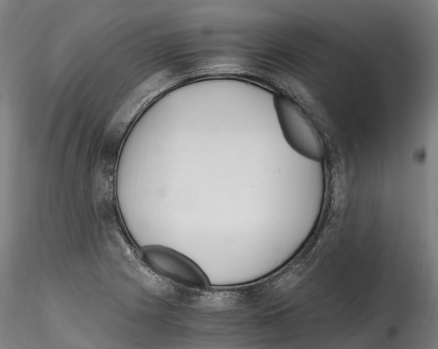 X0000114561225200911301240