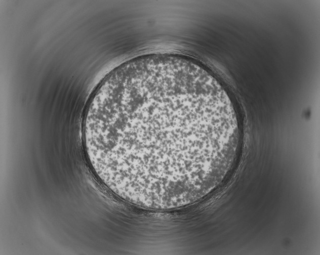 X0000114561226200911301241