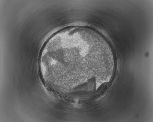 X0000114561229200911301241