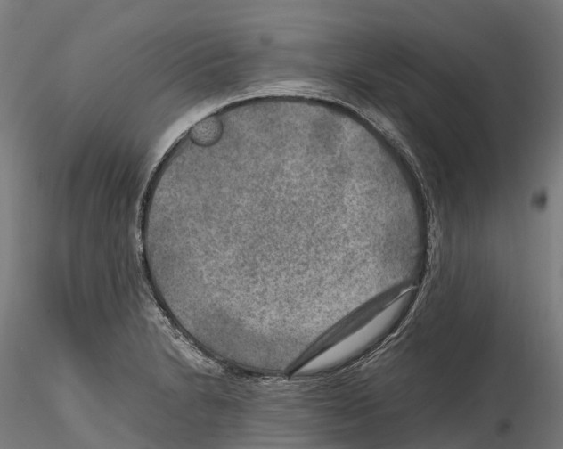 X0000114561230200911301241