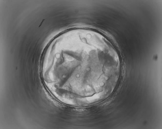 X0000114561231200911301241