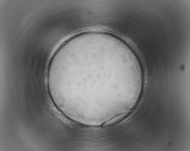 X0000114561232200911301241