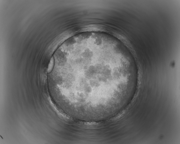 X0000114561233200911301241