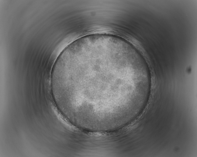 X0000114561234200911301241