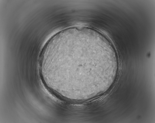 X0000114561235200911301241