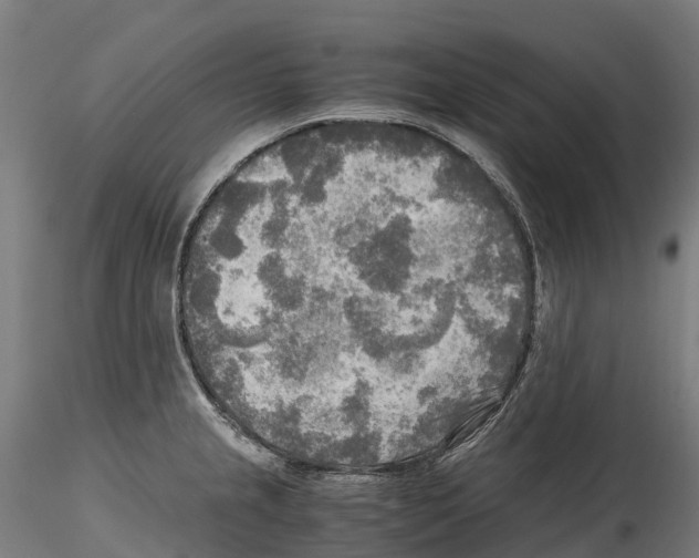 X0000114561237200911301241