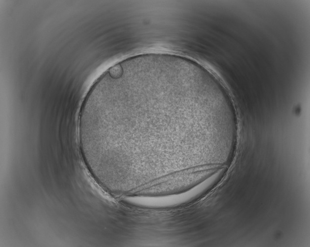 X0000114561238200911301241