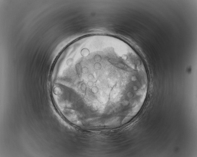 X0000114561239200911301241