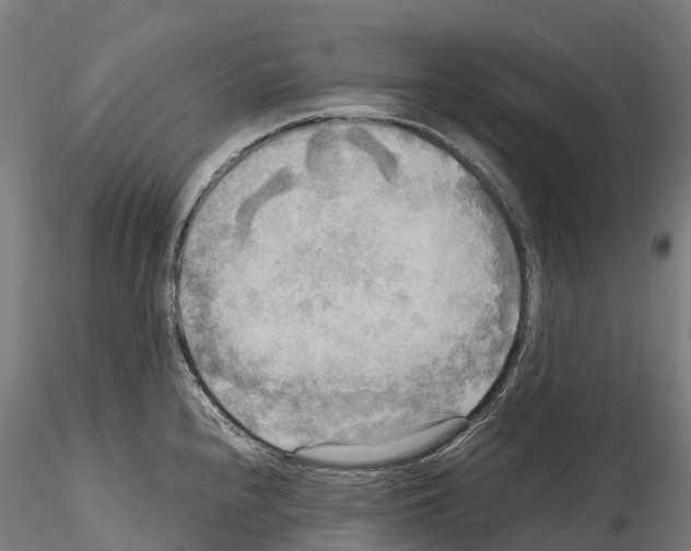 X0000114561240200911301241