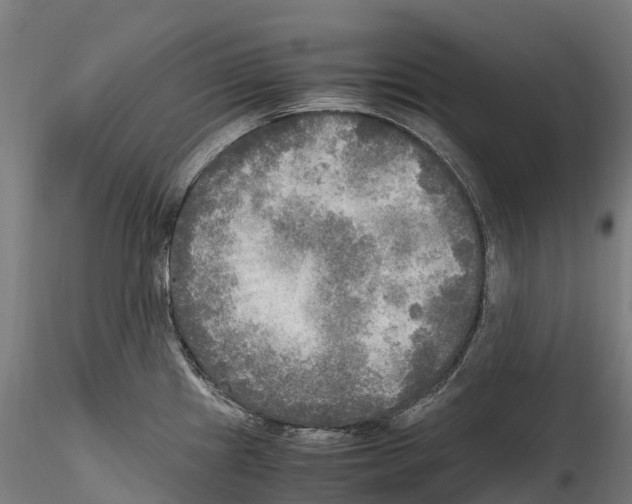 X0000114561241200911301241