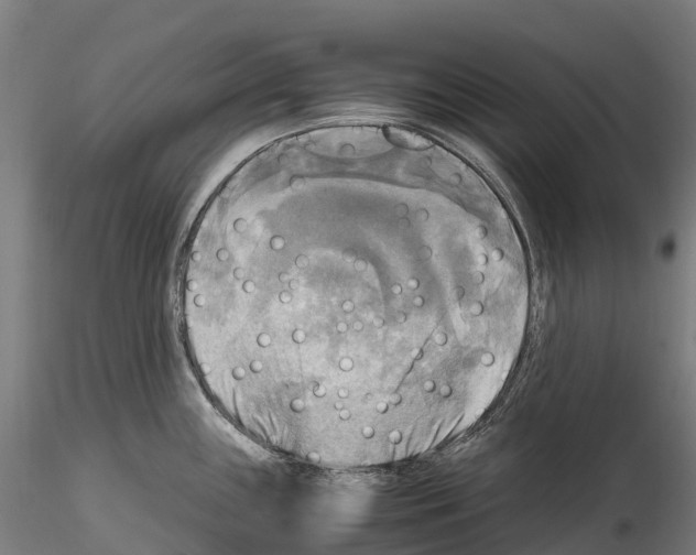 X0000114561243200911301241