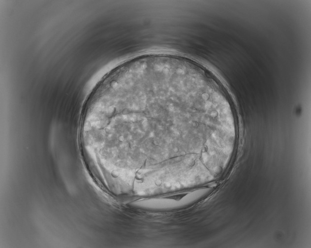 X0000114561245200911301241