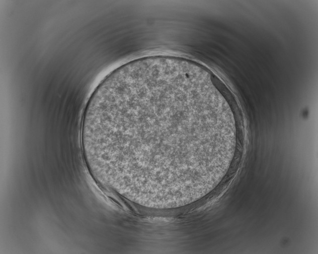 X0000114561246200911301241