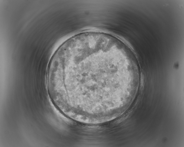 X0000114561247200911301241