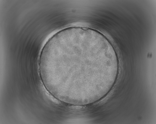 X0000114561248200911301241