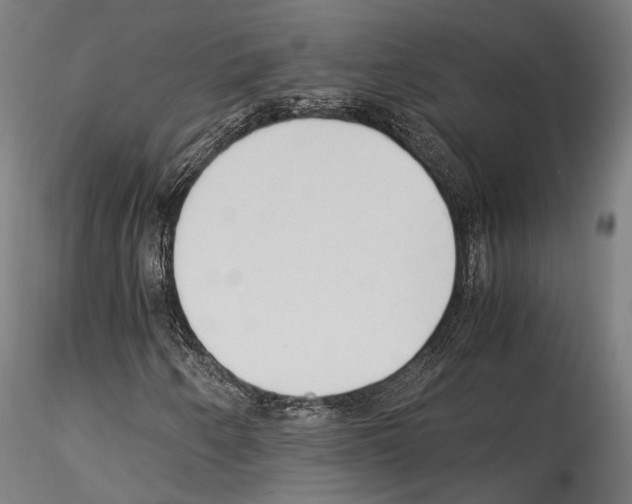 X0000114561250200911301240