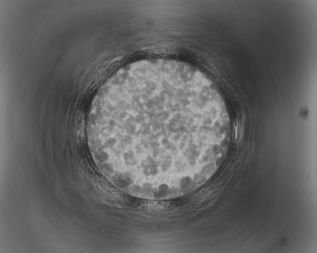 X0000114561251200911301240