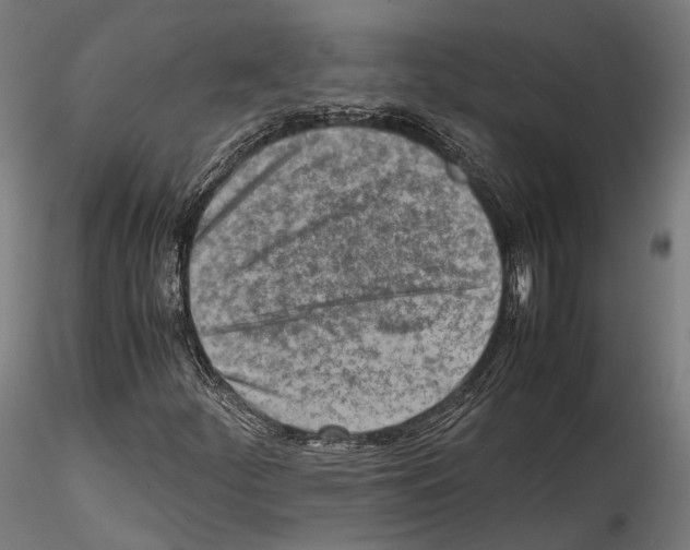 X0000114561252200911301240