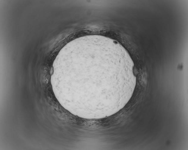 X0000114561253200911301240