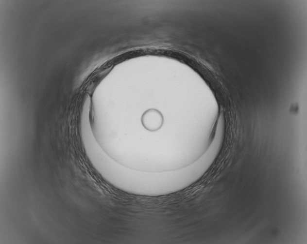 X0000114561255200911301240