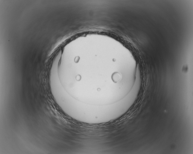 X0000114561256200911301240