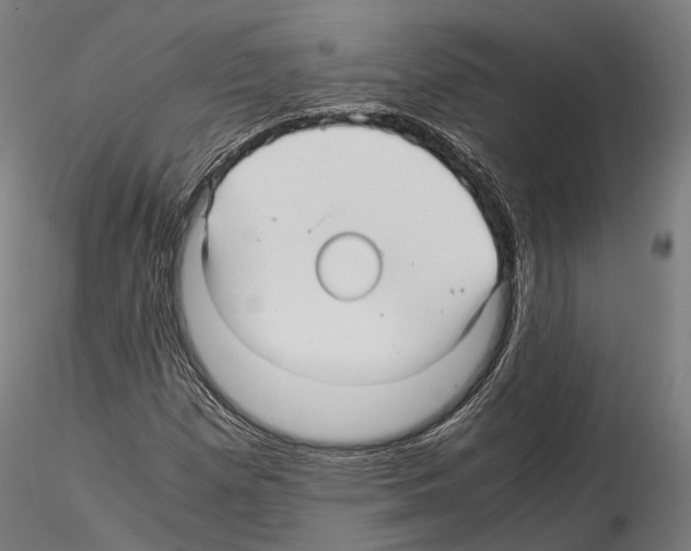X0000114561257200911301240