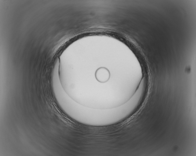 X0000114561259200911301240