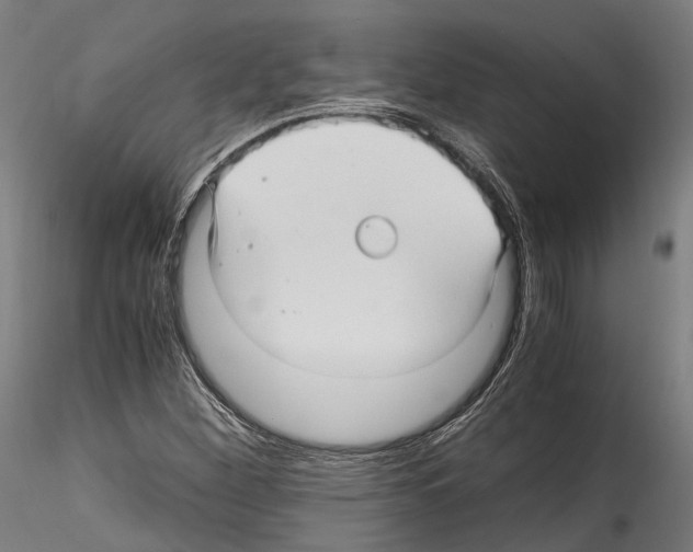 X0000114561260200911301240