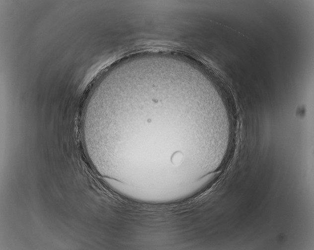 X0000114561261200911301240
