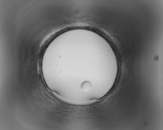 X0000114561262200911301240