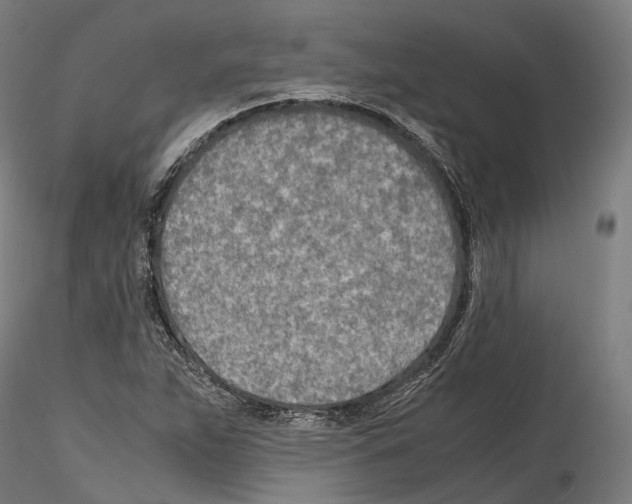 X0000114561263200911301240