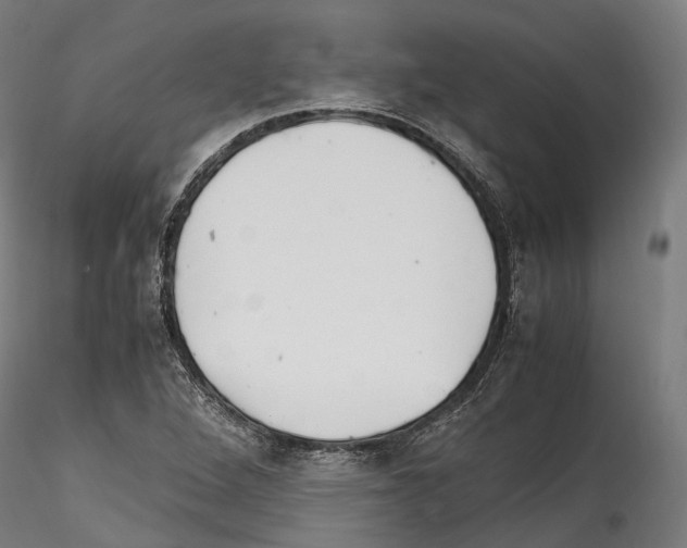 X0000114561264200911301240