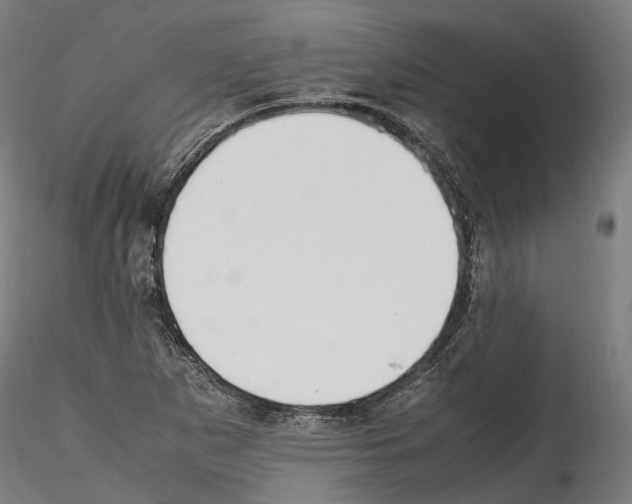 X0000114561265200911301240