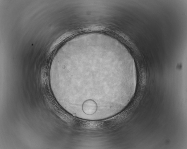 X0000114561266200911301240