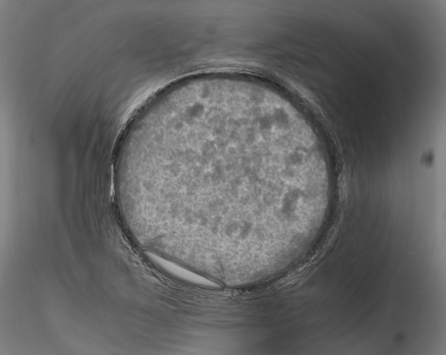 X0000114561267200911301240