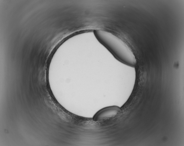 X0000114561268200911301240