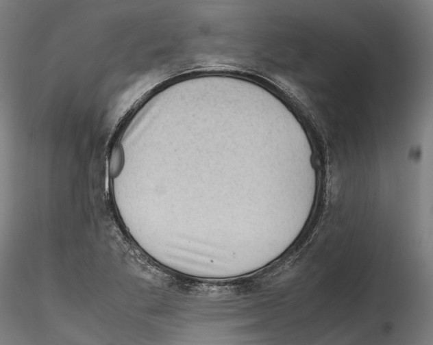 X0000114561269200911301240