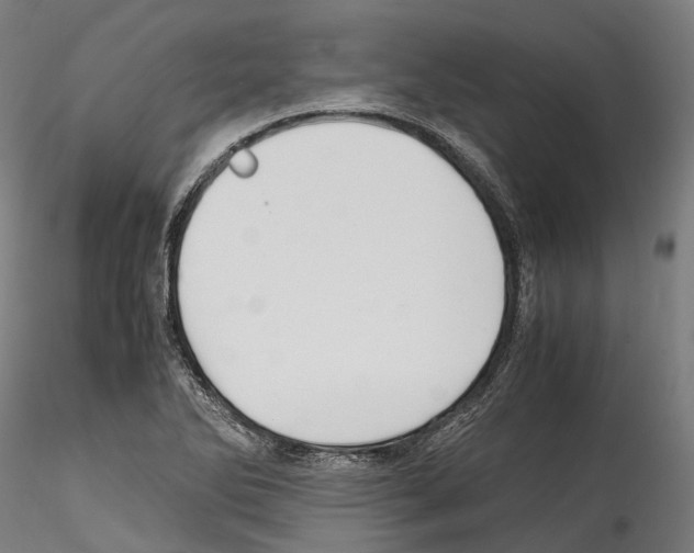 X0000114561270200911301240