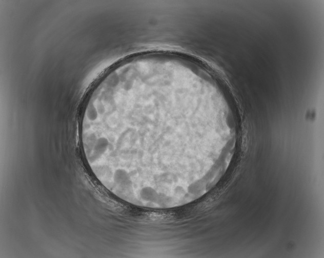 X0000114561271200911301240
