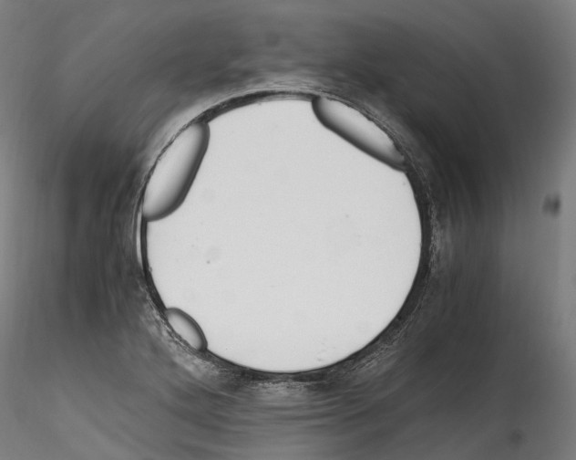 X0000114561272200911301240
