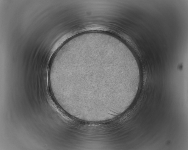 X0000114561274200911301239