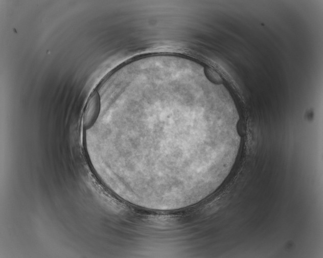X0000114561276200911301239