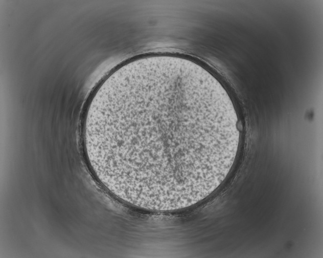 X0000114561277200911301239