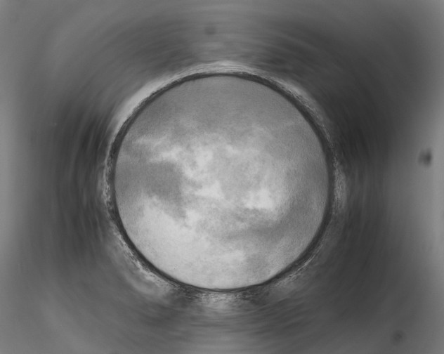 X0000114561278200911301239