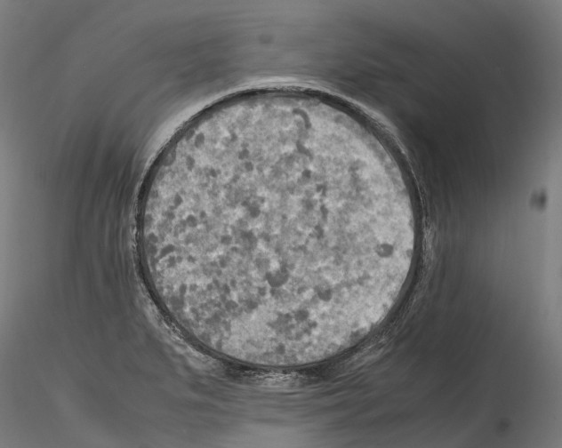 X0000114561279200911301239
