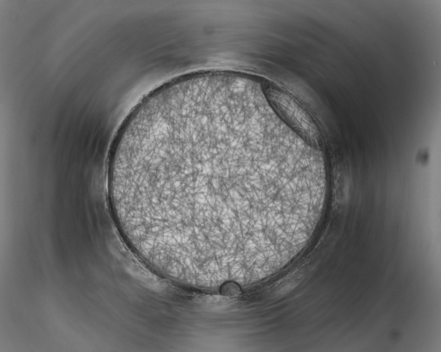 X0000114561280200911301239