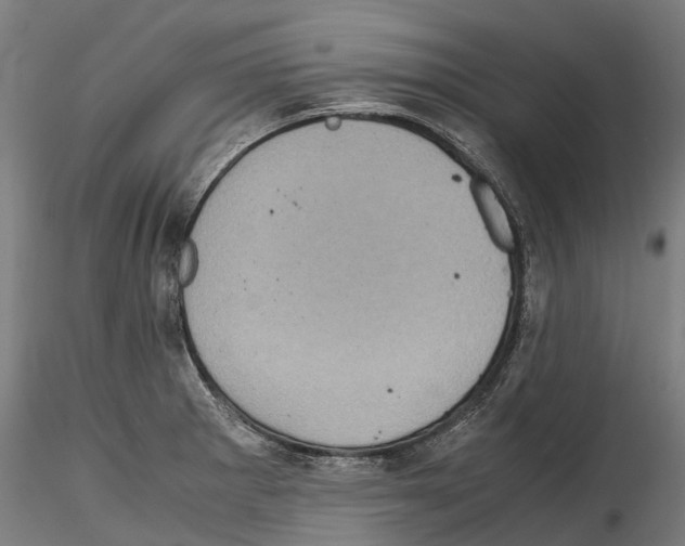 X0000114561281200911301239
