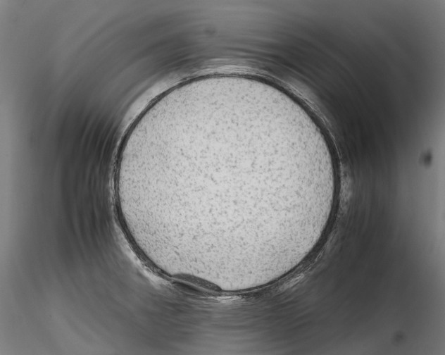 X0000114561282200911301239